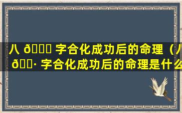 八 🐎 字合化成功后的命理（八 🕷 字合化成功后的命理是什么）